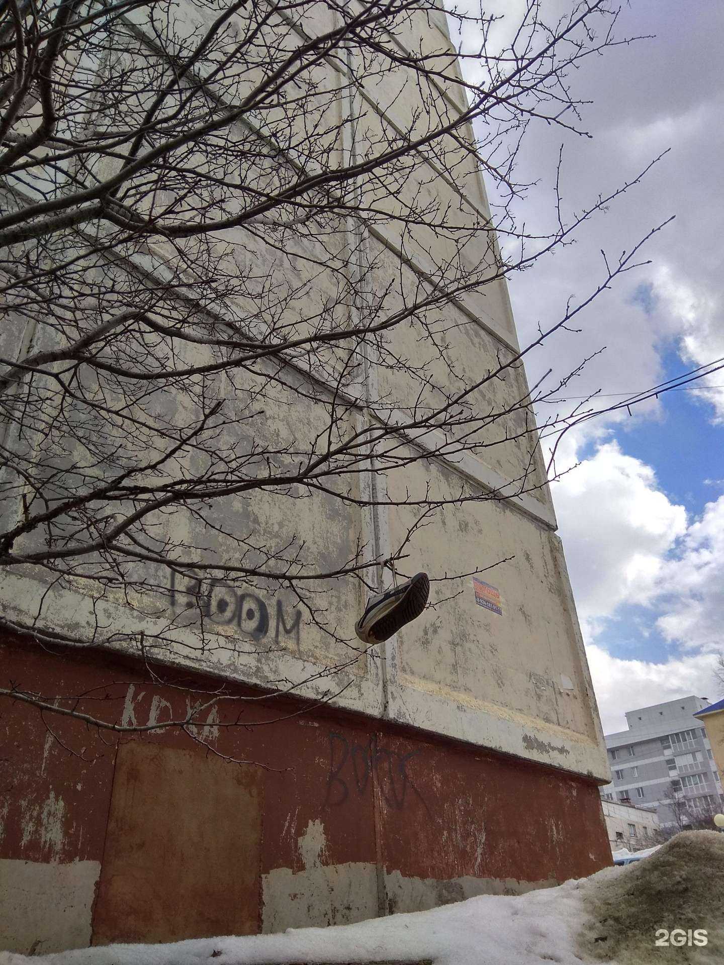 Отзывы на компанию Вега в Южно-Сахалинске c фото - фотография 2 из 2