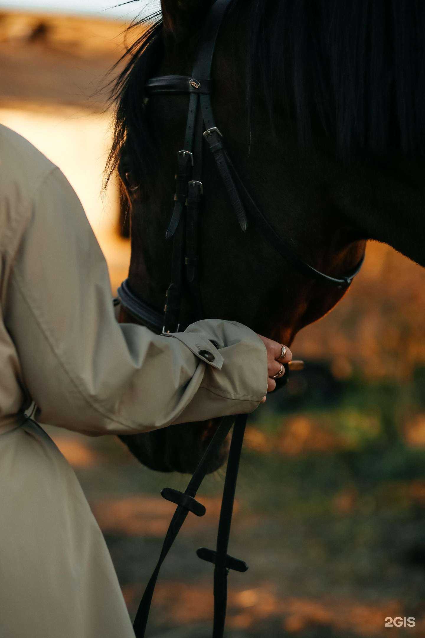 Отзывы на компанию Прометей в г. Иркутск c фото