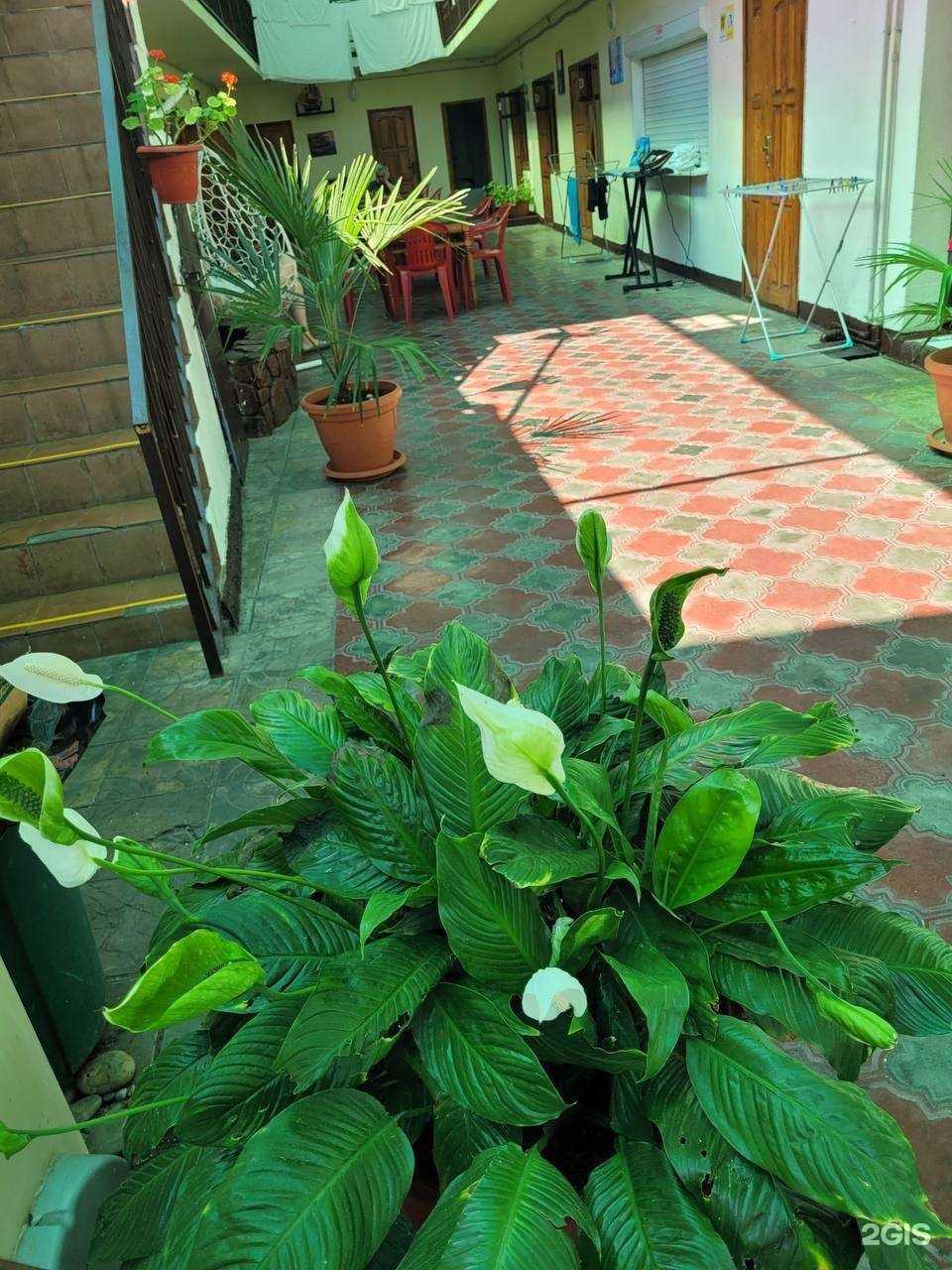 Отзывы на компанию Пальма в Сочи c фото