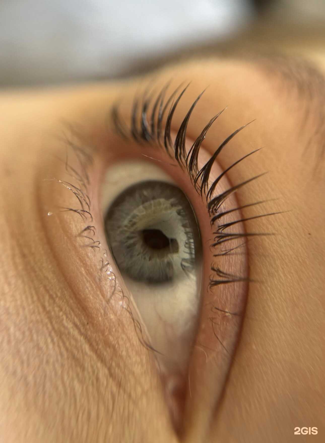 Отзывы на компанию Студия ламинирования ресниц в г. Петропавловск-Камчатский c фото