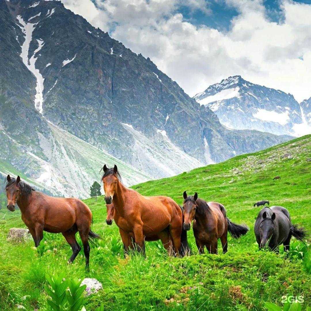 Отзывы на компанию LowCostTravel в г. Балаково c фото