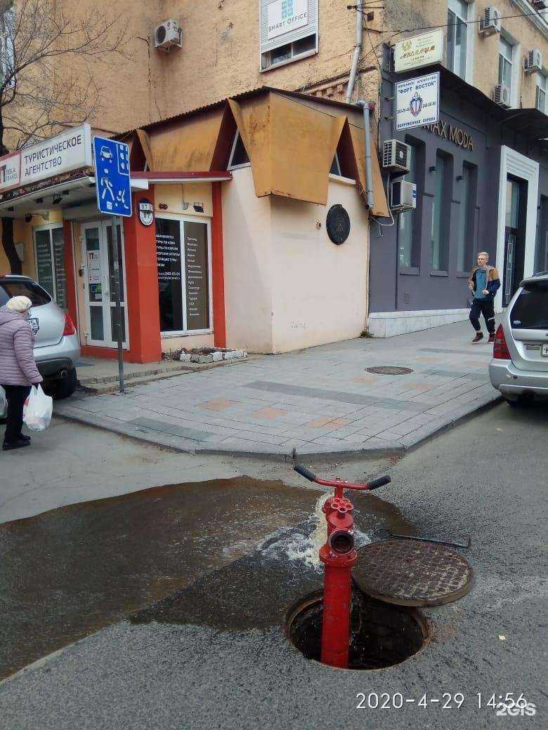 Отзывы на компанию Верные друзья в Владивостоке c фото - фотография 2 из 2