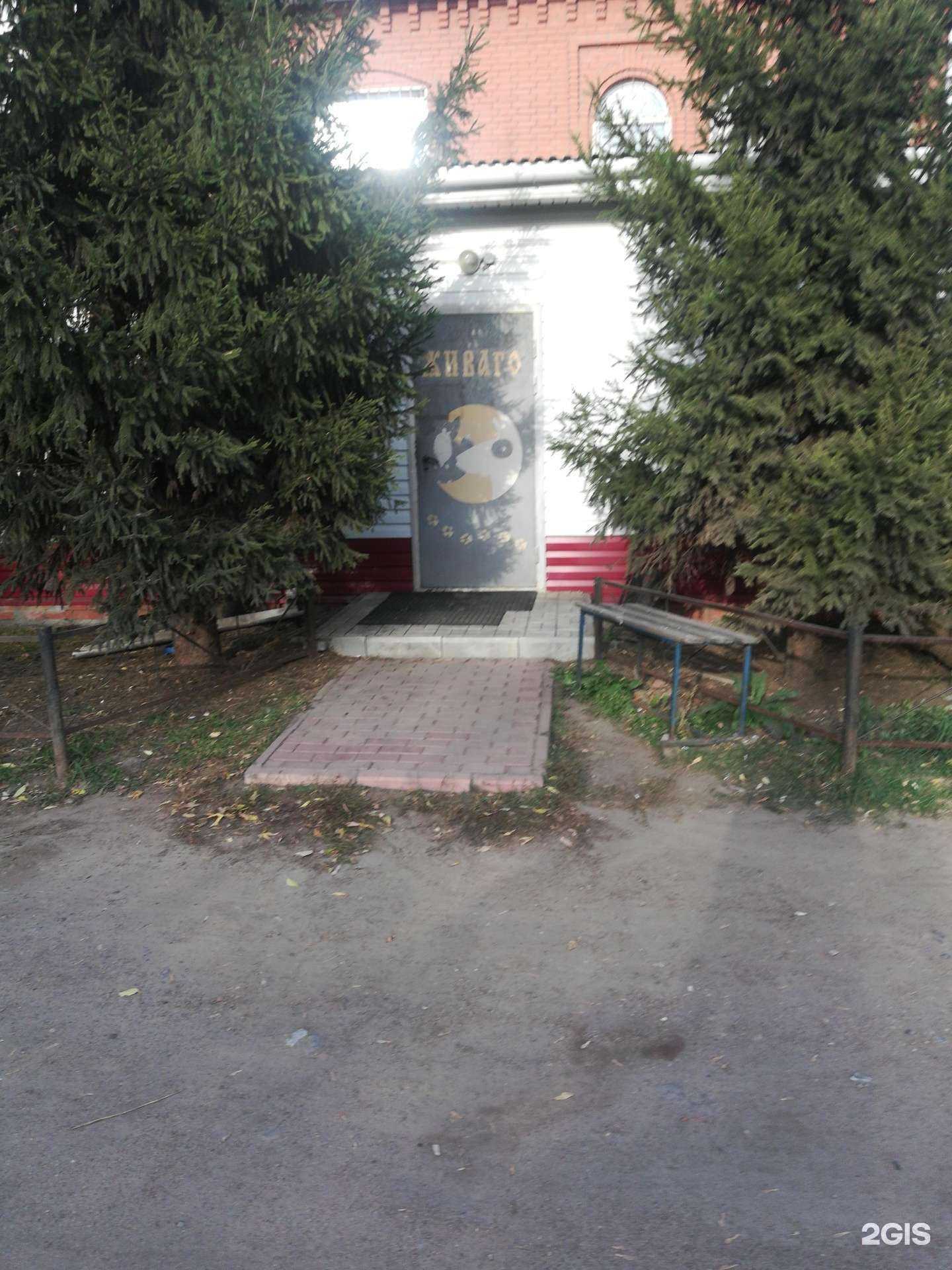 Отзывы на компанию Van Dog в Омске c фото - фотография 2 из 2