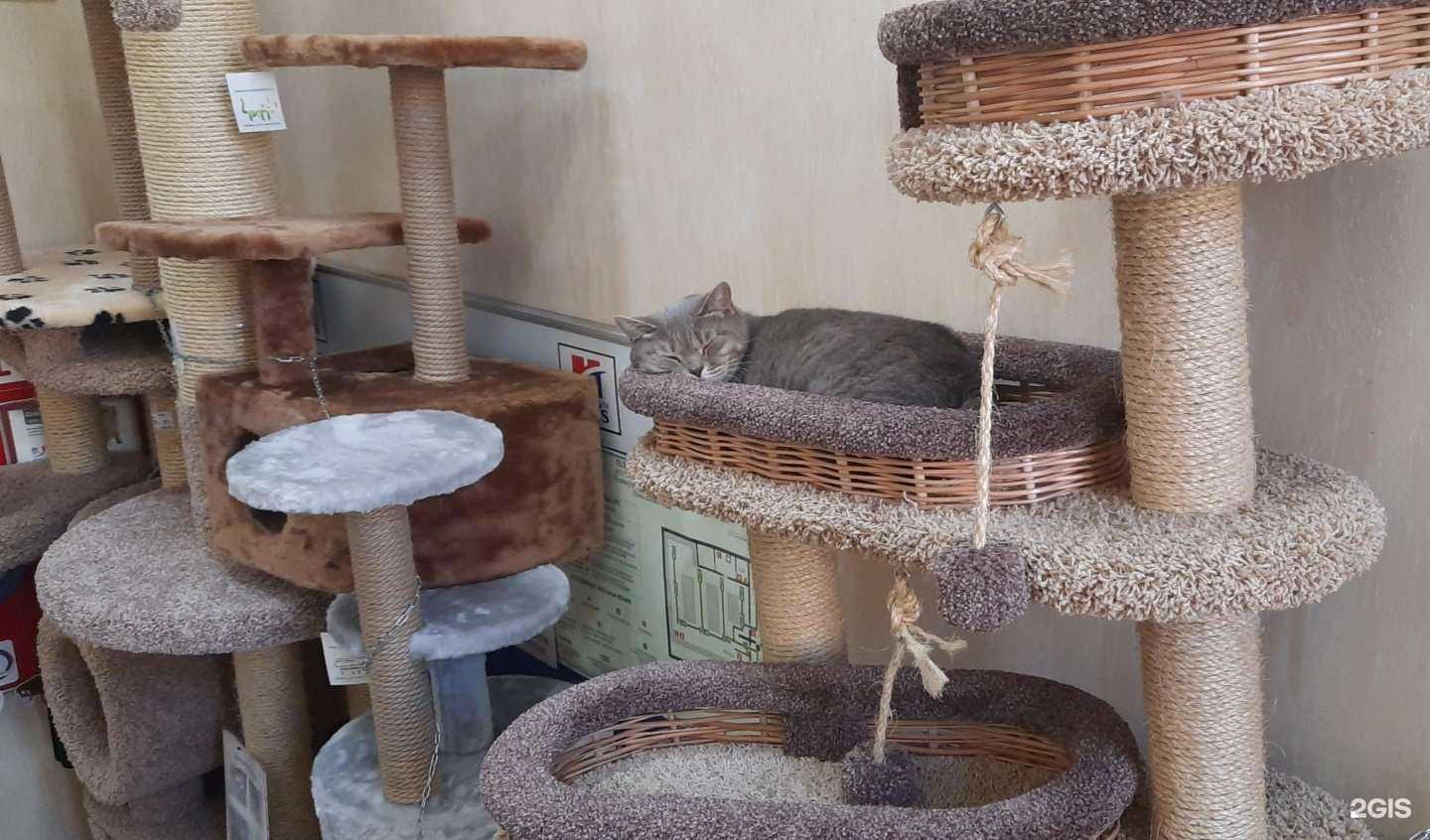 Отзывы на компанию Эдем в г. Новокузнецк c фото