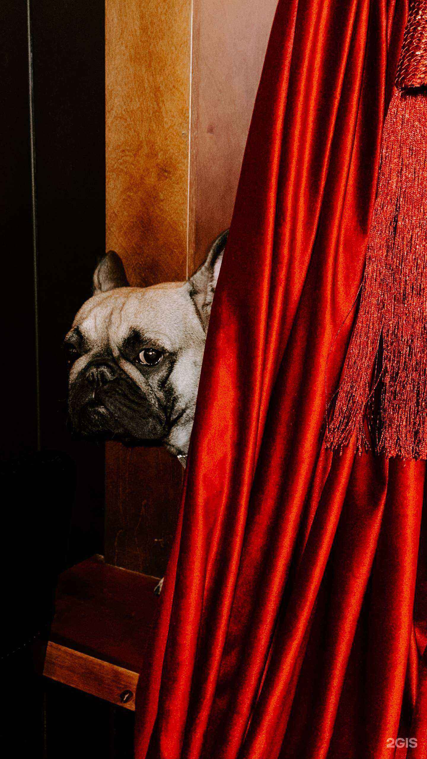 Отзывы на компанию Fletcher в Новосибирске c фото