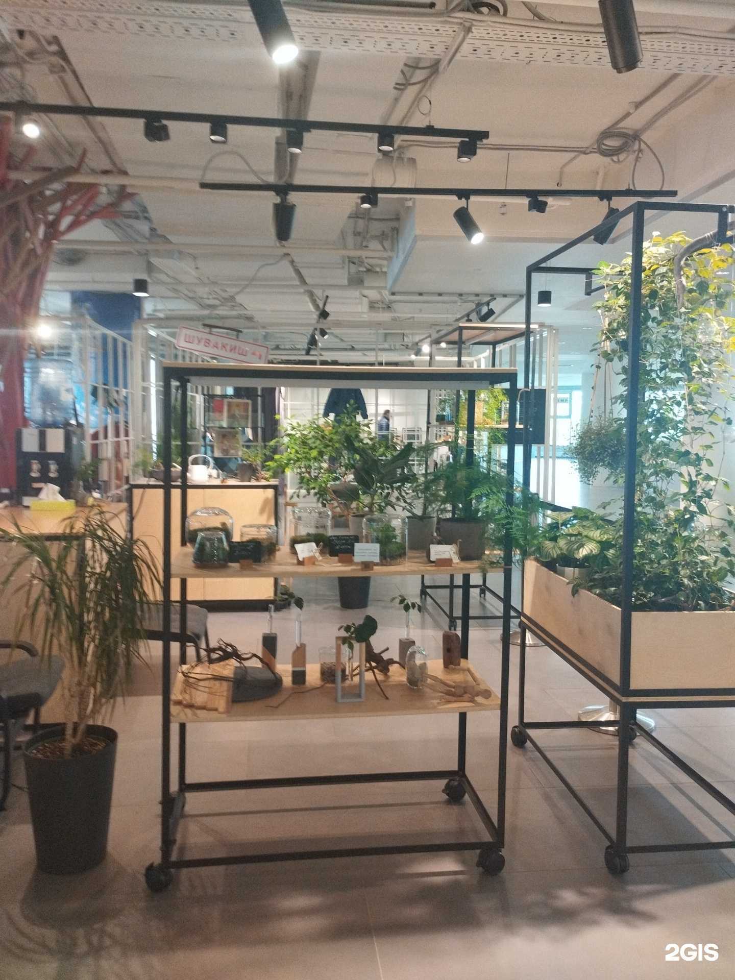 Отзывы на компанию Лес в Екатеринбурге c фото