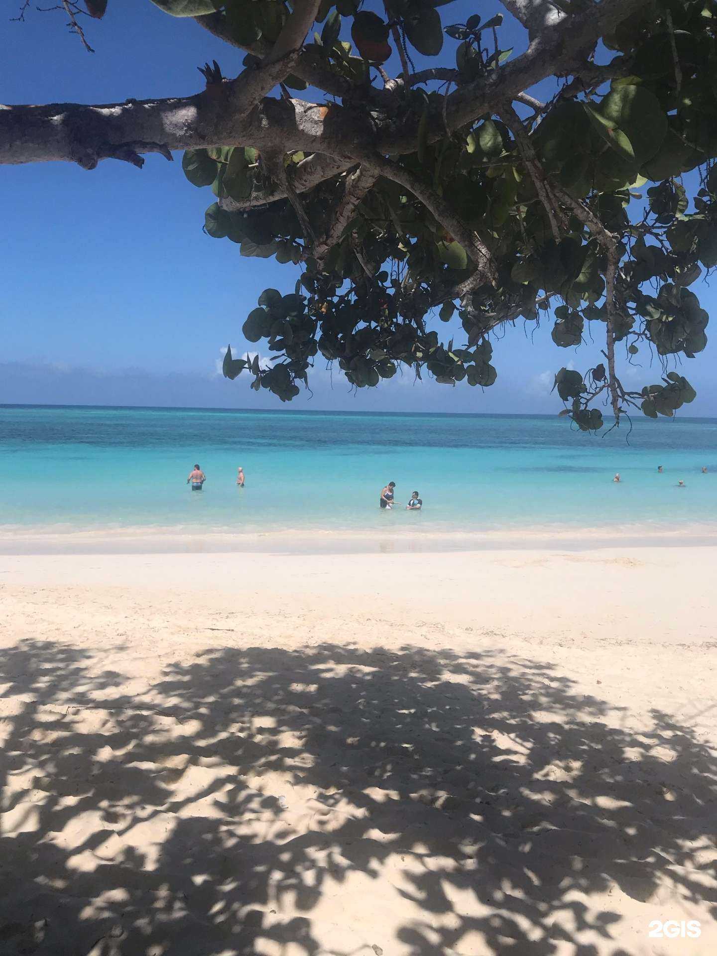 Отзывы на компанию Happy tour в Томске c фото