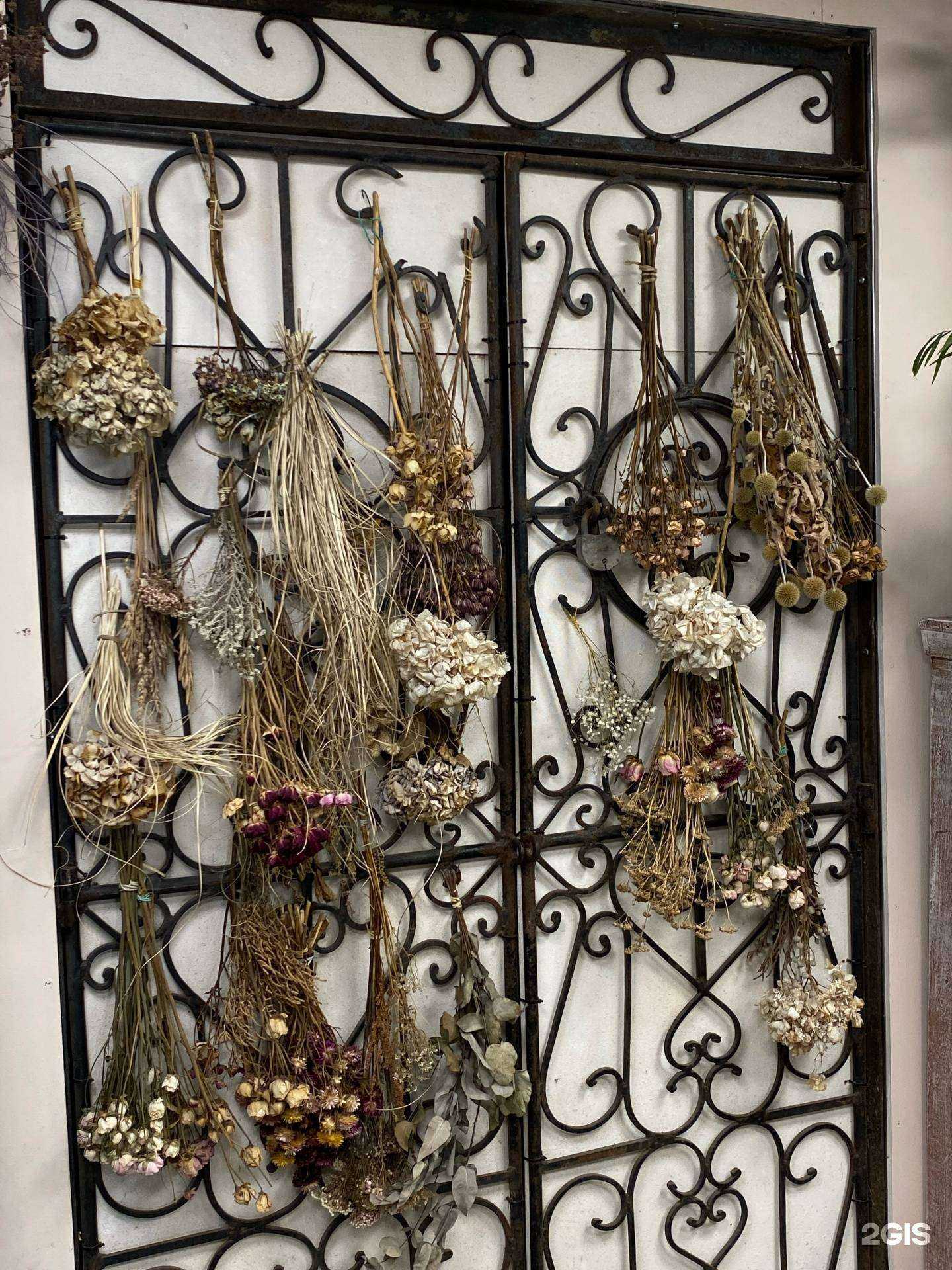 Отзывы на компанию Оранжерея в г. Красноярск c фото