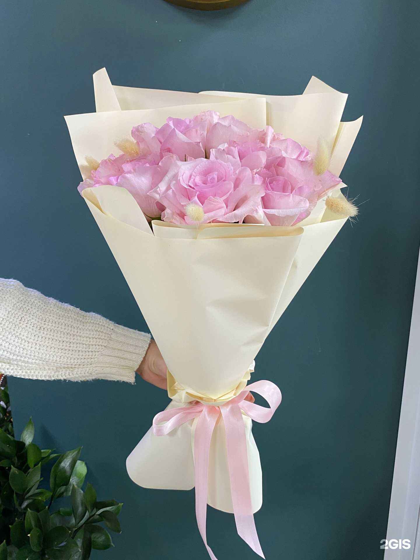 Отзывы на компанию Катарина в г. Вихоревка c фото