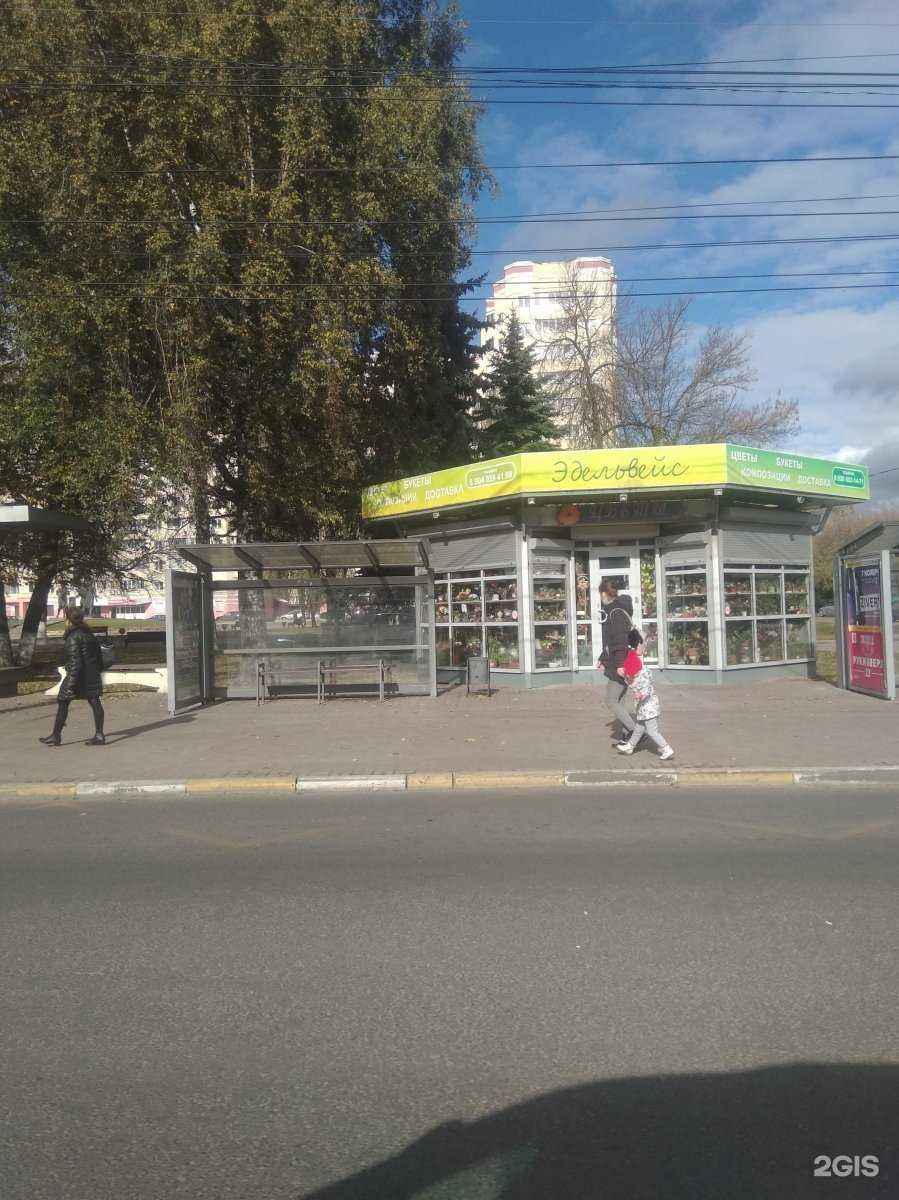 Отзывы на компанию Эдельвейс в г. Тверь c фото