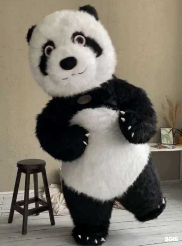 Отзывы на компанию Медведь&Банда в г. Сургут c фото