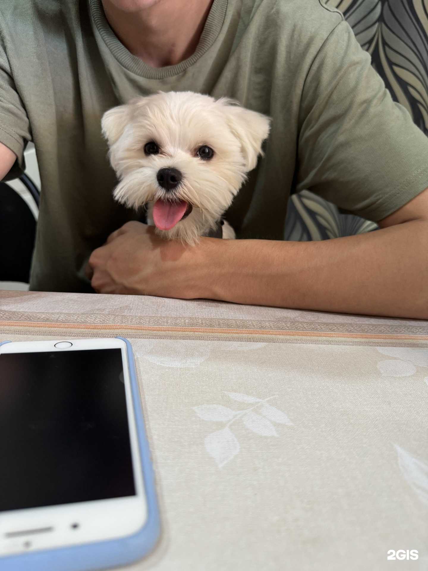 Отзывы на компанию Челябинский центр ветеринарной медицины в Челябинске c фото