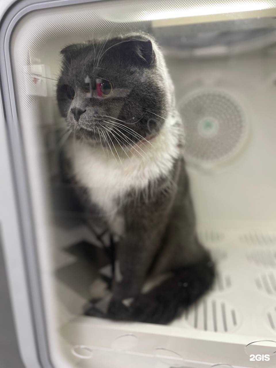 Отзывы на компанию Лакки в г. Липецк c фото