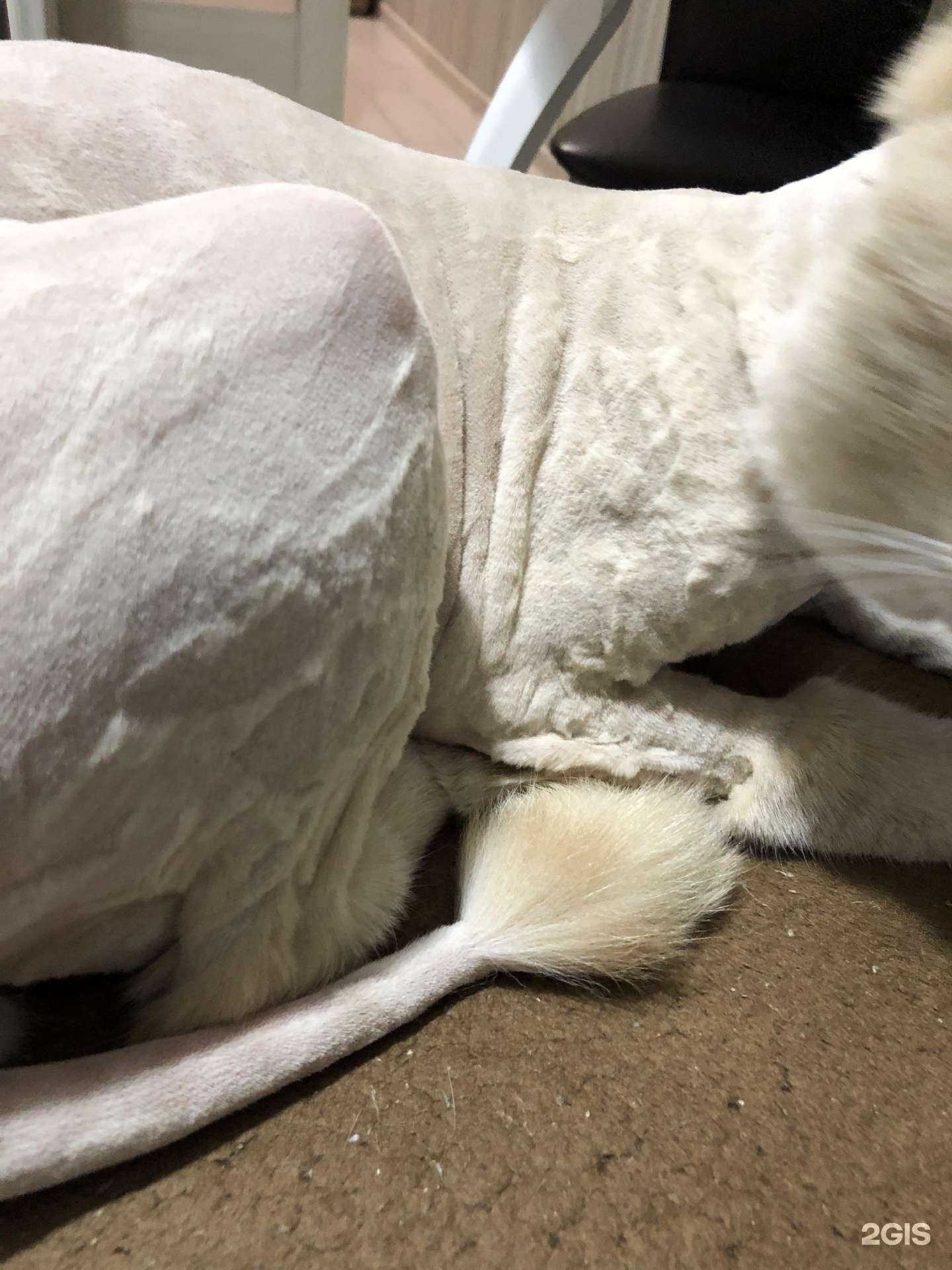 Отзывы на компанию Друг в г. Самара c фото