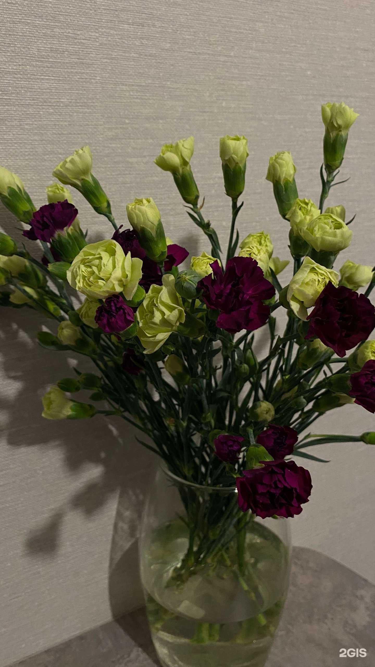 Отзывы на компанию Русский фейерверк в Перми c фото - фотография 2 из 2