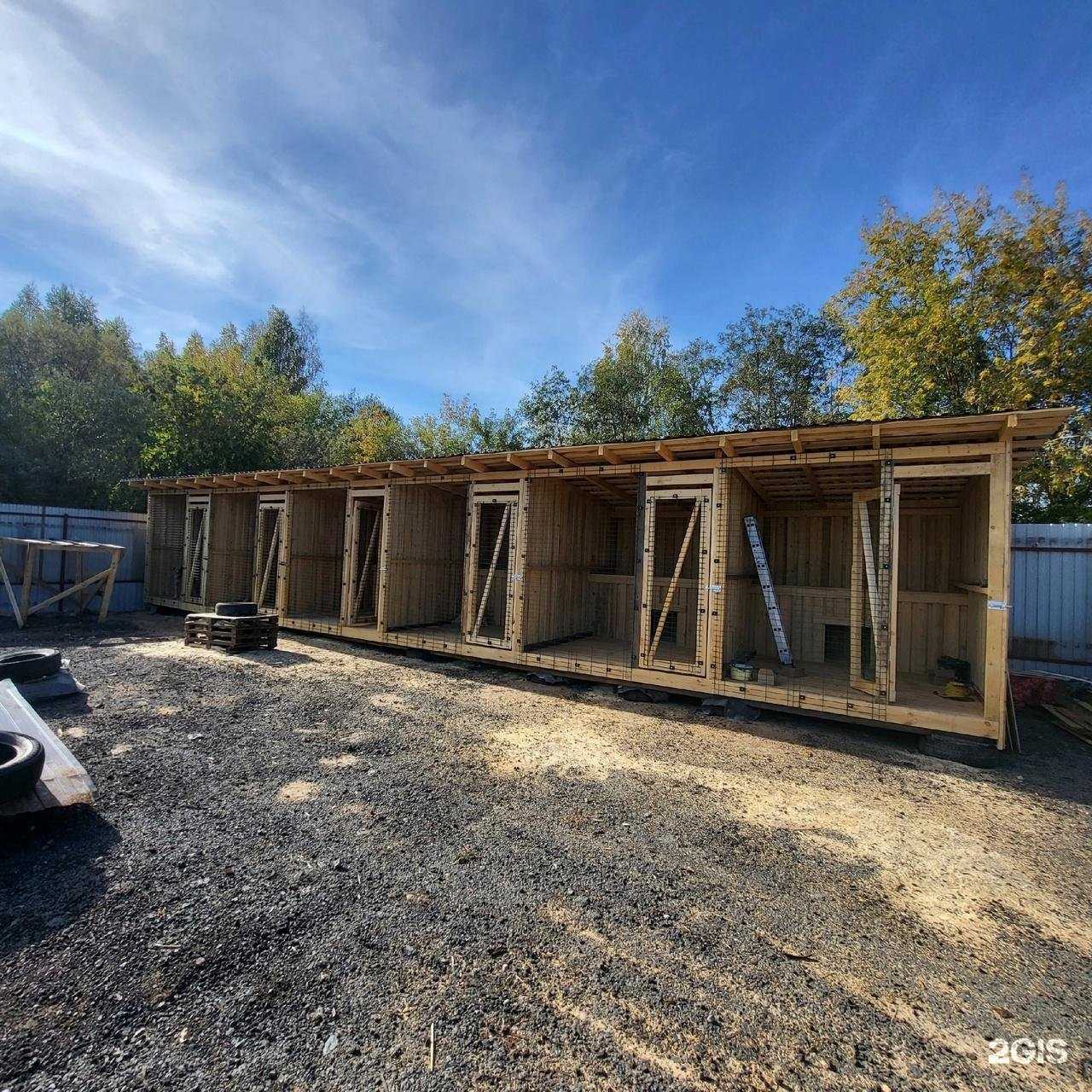 Отзывы на компанию Улыбка собаки в г. Киров c фото