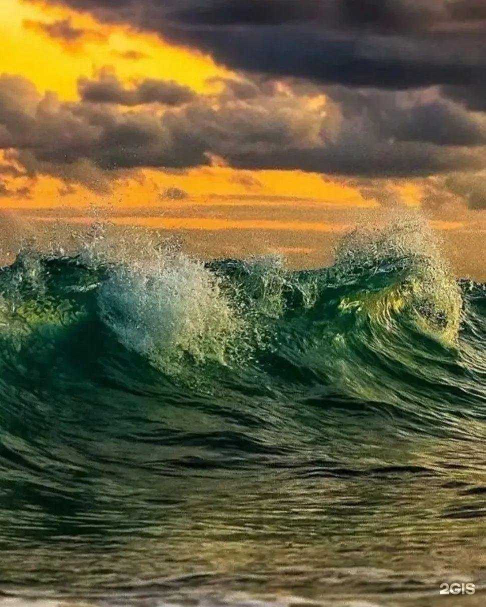 Отзывы на компанию Винсент в г. Рязань c фото