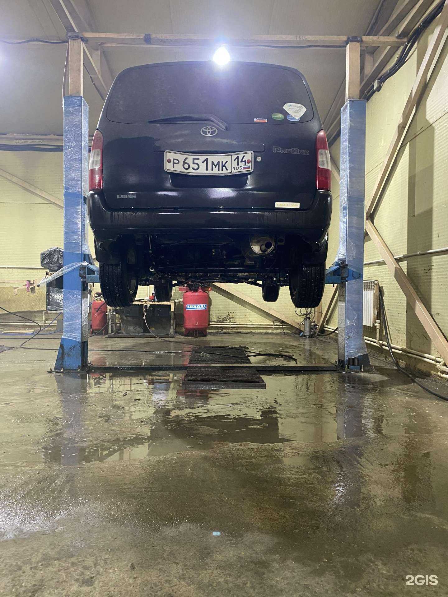 Отзывы на компанию Лев в Якутске c фото