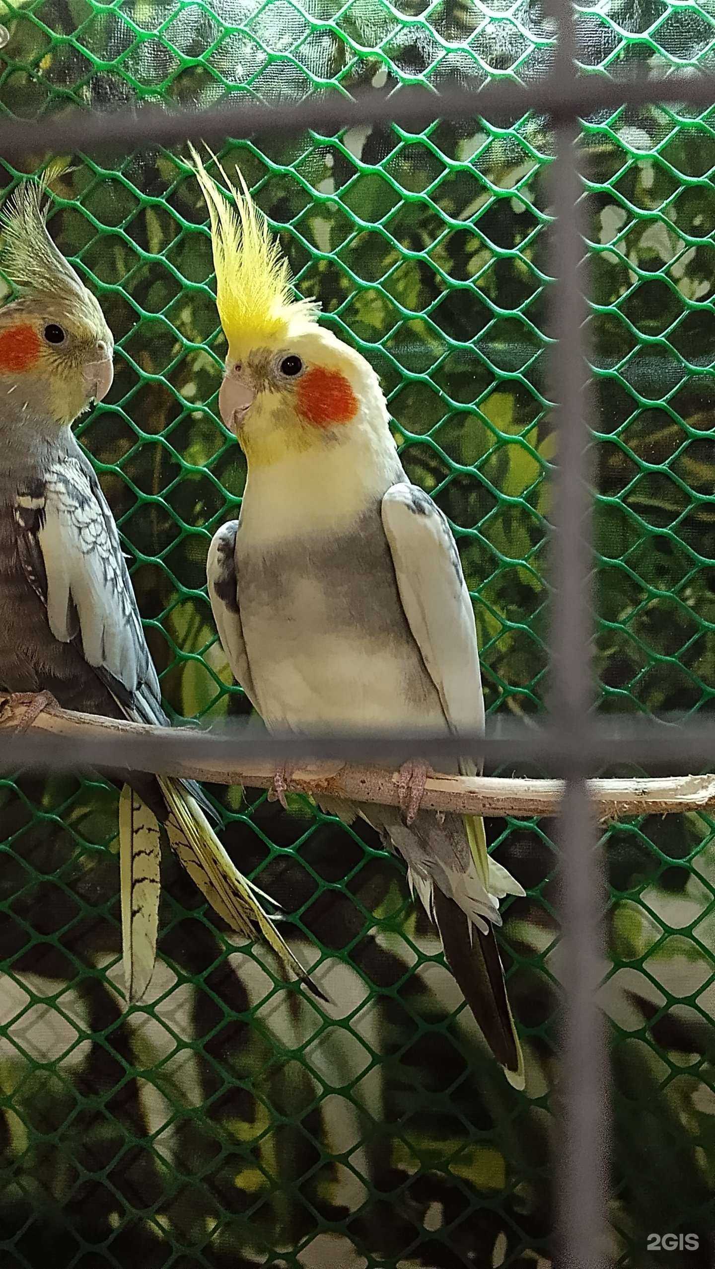 Отзывы на компанию АраванА в г. Ульяновск c фото