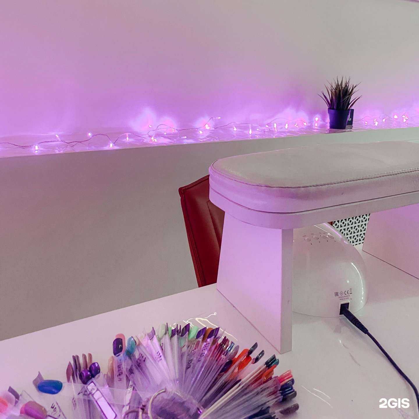 Отзывы на компанию Kaktus в Краснодаре c фото