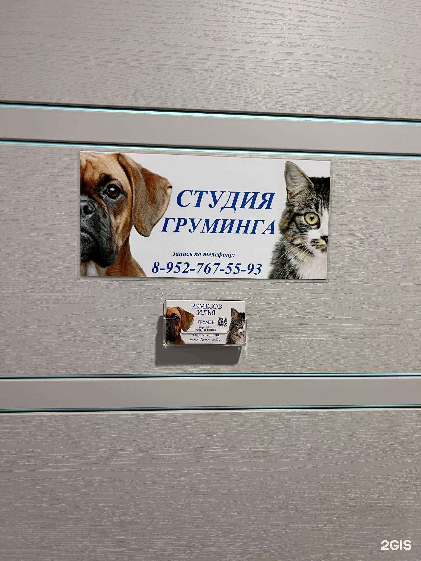 Отзывы на компанию Студия груминга в г. Дзержинск c фото