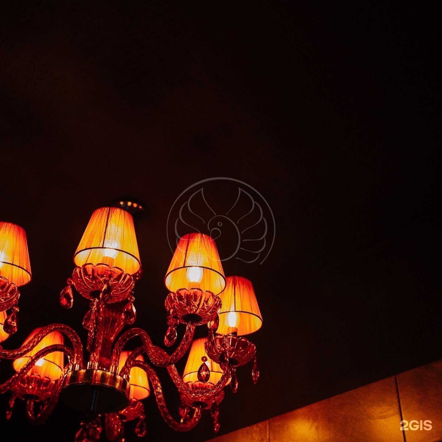 Отзывы на компанию Birds by Sofisenko в Оренбурге c фото