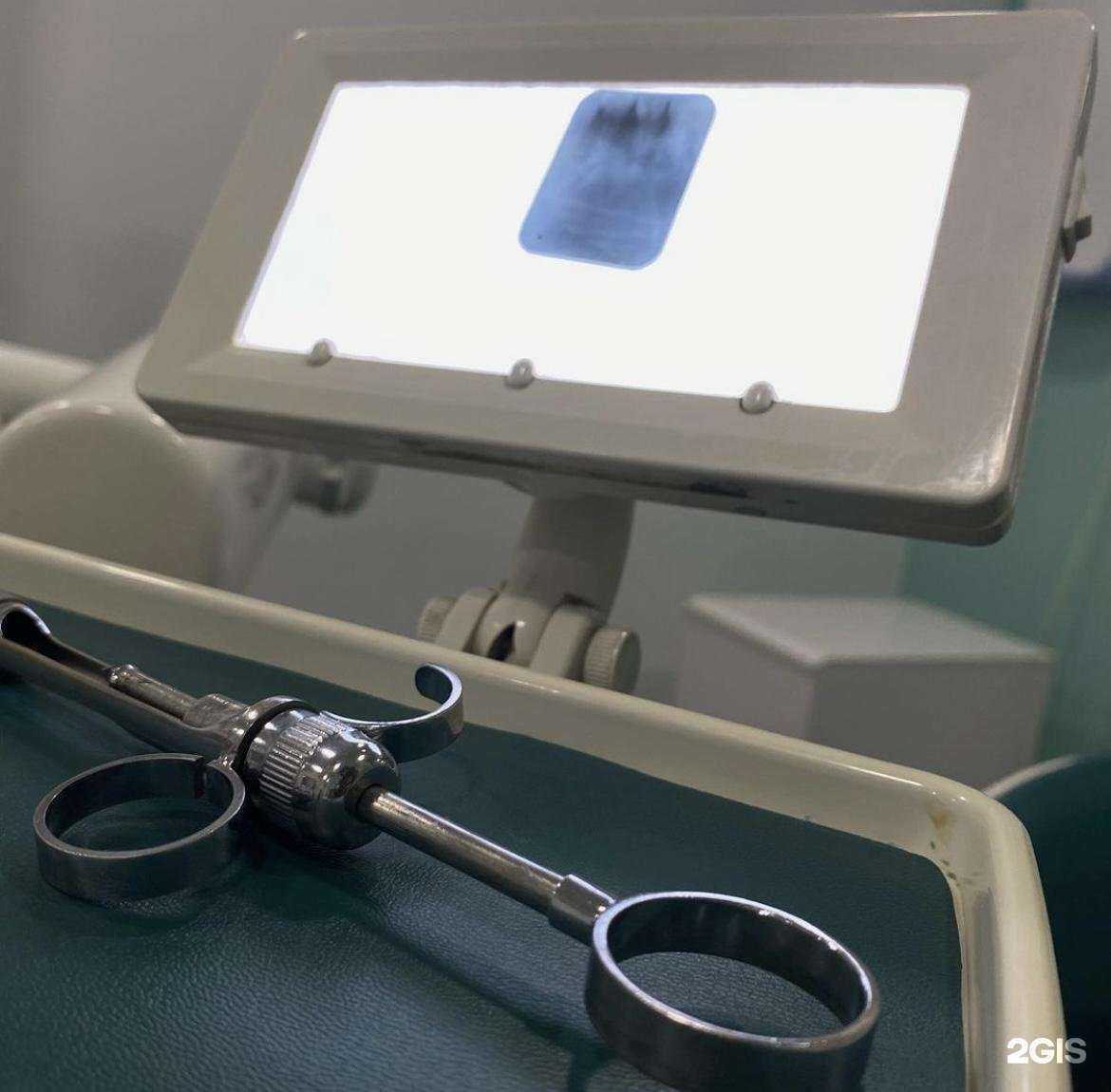 Отзывы на компанию Dr_A.Albertovich в Махачкале c фото