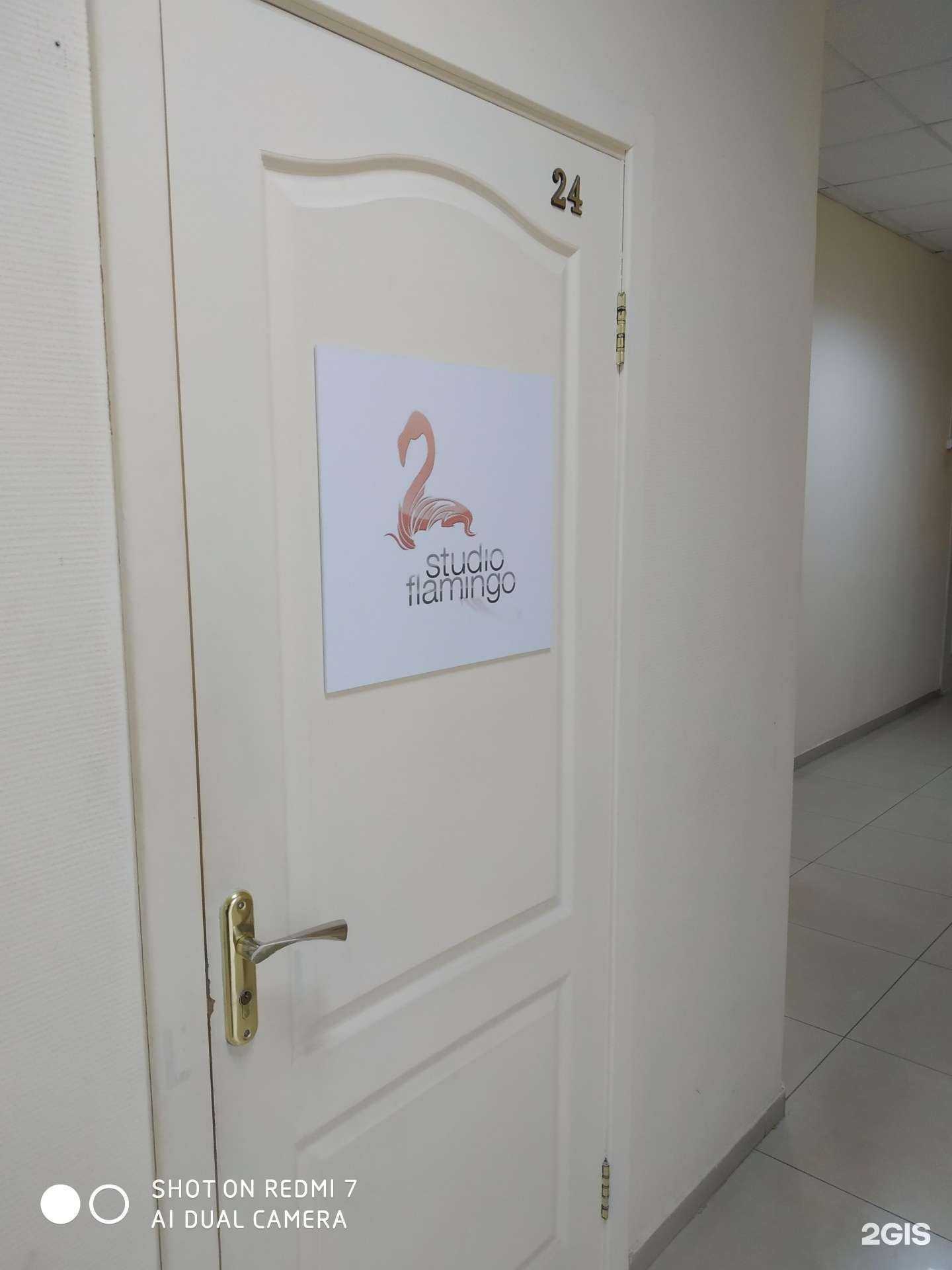 Отзывы на компанию studio flamingo в г. Курск c фото