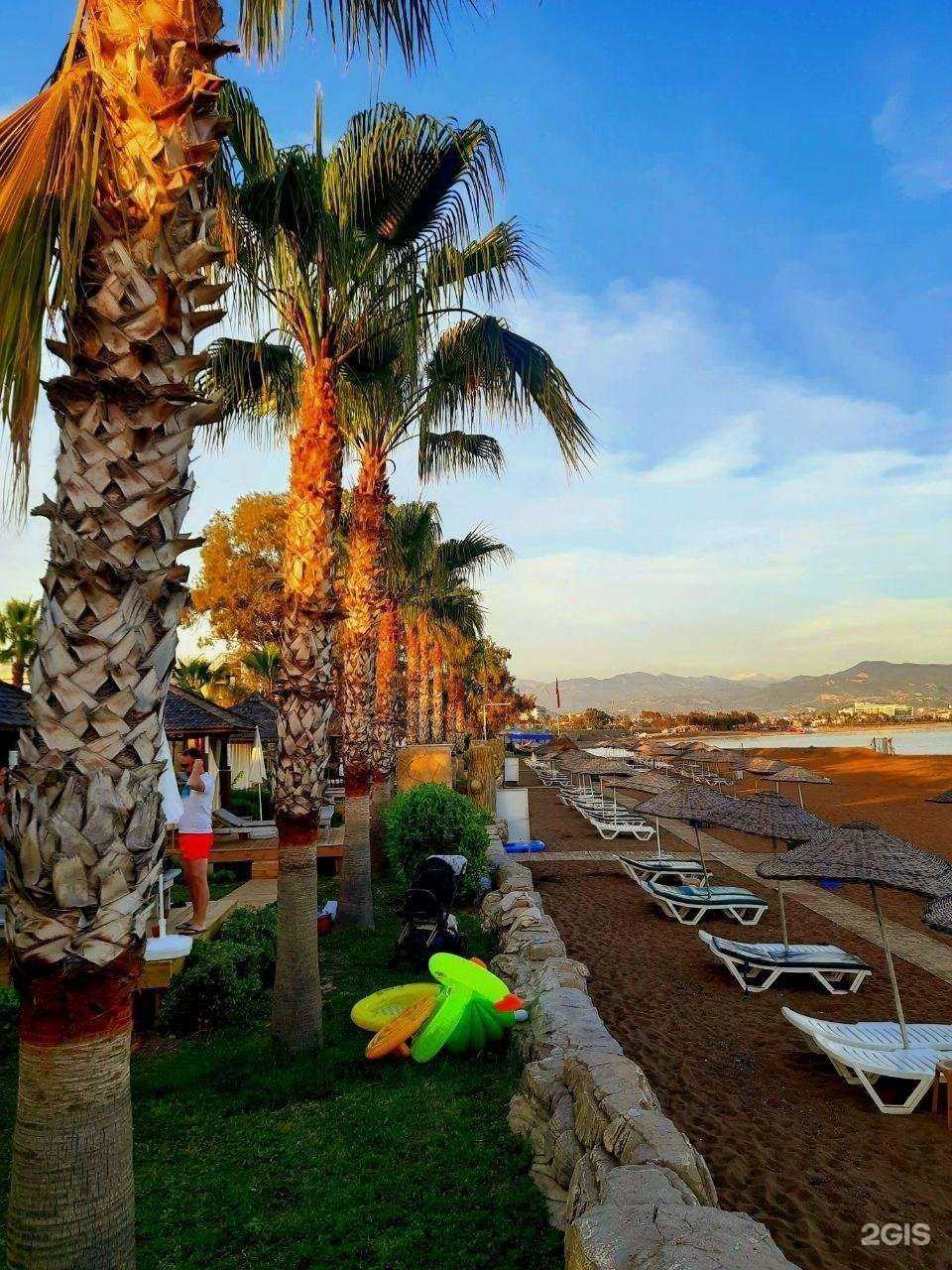 Отзывы на компанию Anex в Улан-Удэ c фото