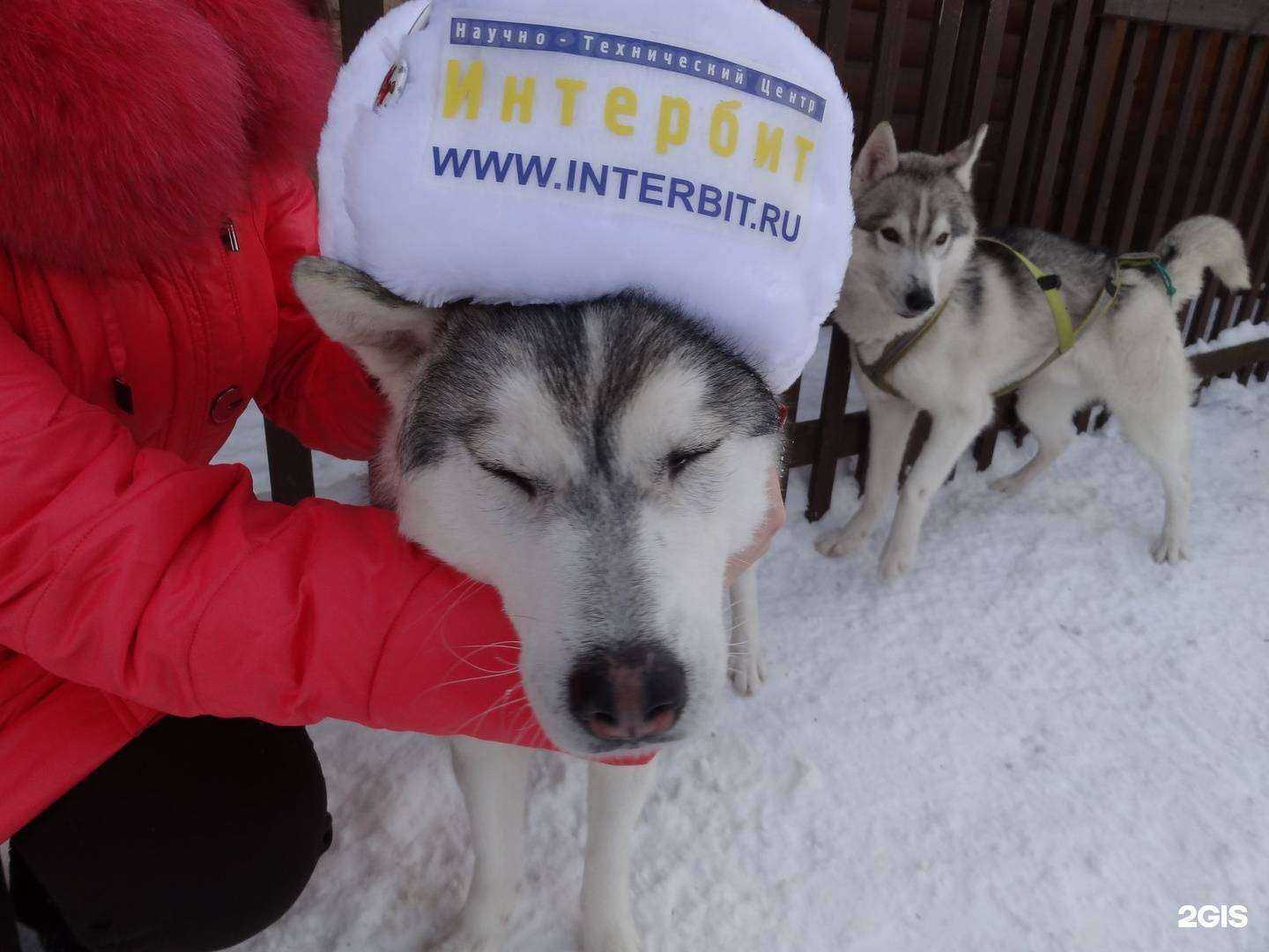 Отзывы на компанию ИнтерБИТ в Красноярске c фото