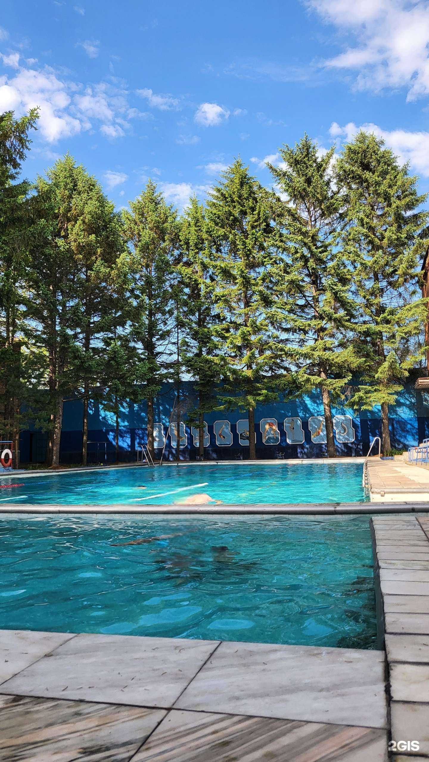 Отзывы на компанию Локомотив в Уссурийске c фото