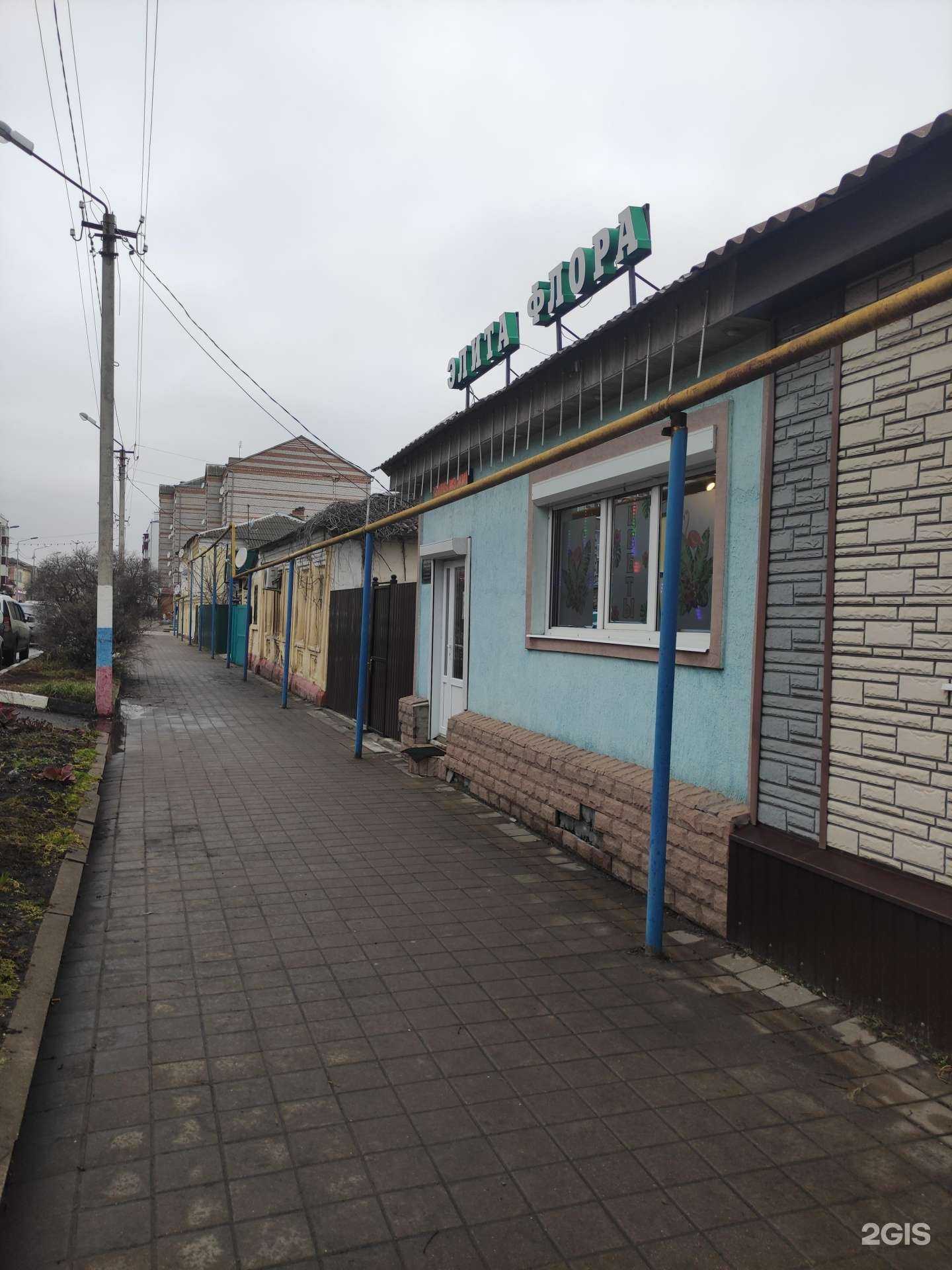 Отзывы на компанию Элита Флора в г. Новый Оскол c фото