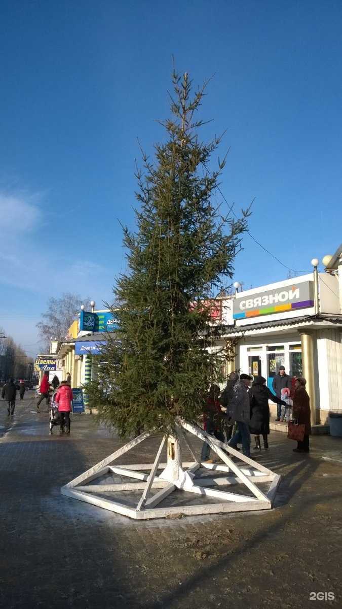 Отзывы на компанию Синий кит в Липецке c фото - фотография 2 из 2