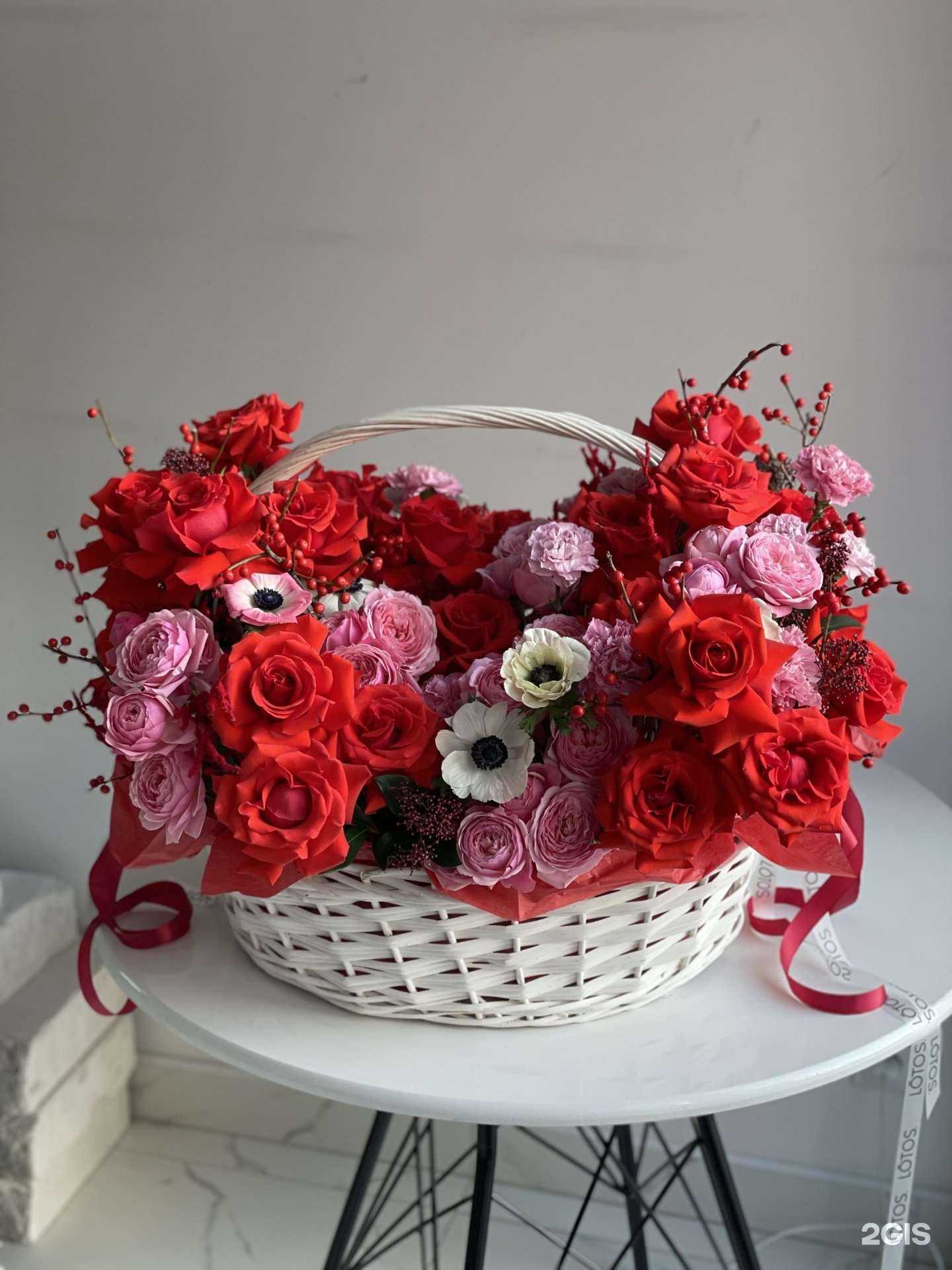 Отзывы на компанию Lotos в Новосибирске c фото