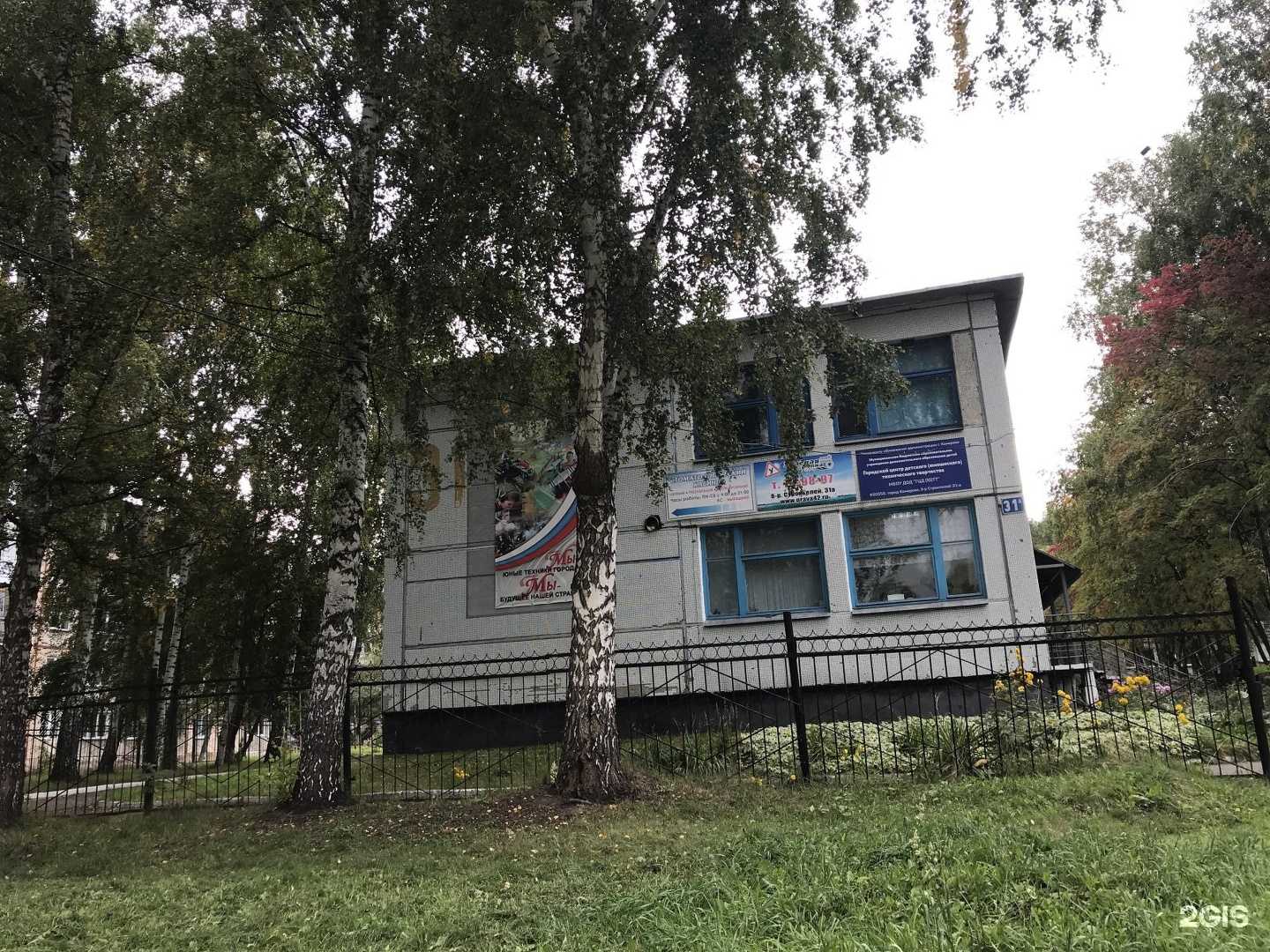 Отзывы на компанию Зелёная волна в Кемерове c фото