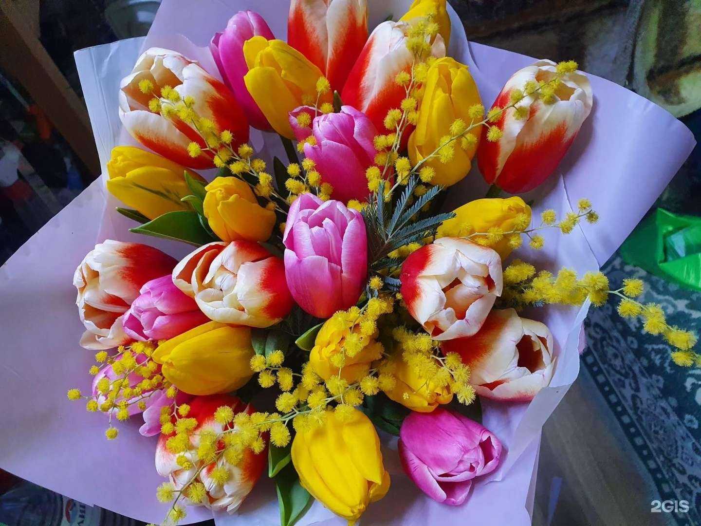 Отзывы на компанию Aloe Vera в Нефтеюганске c фото