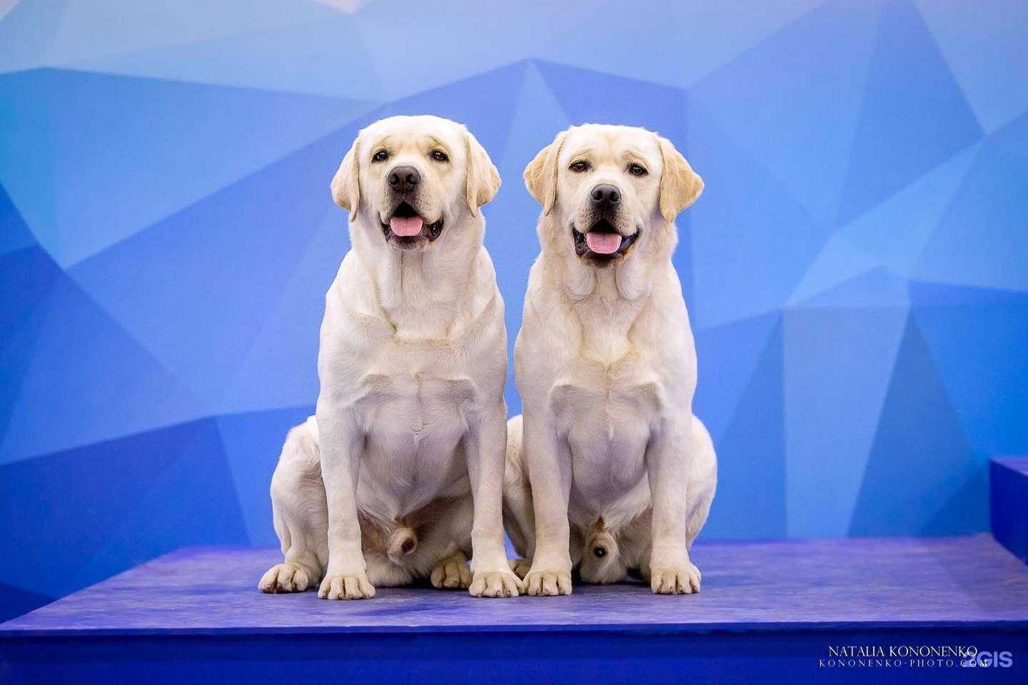 Отзывы на компанию Спринт в г. Томск c фото