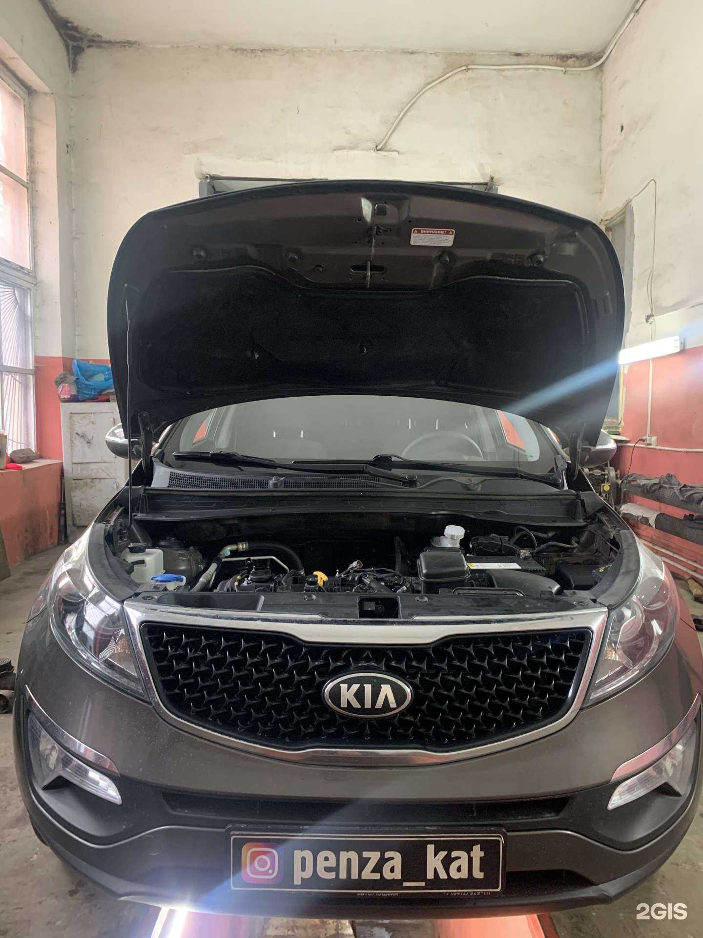 Отзывы на компанию Penzakat в г. Пенза c фото