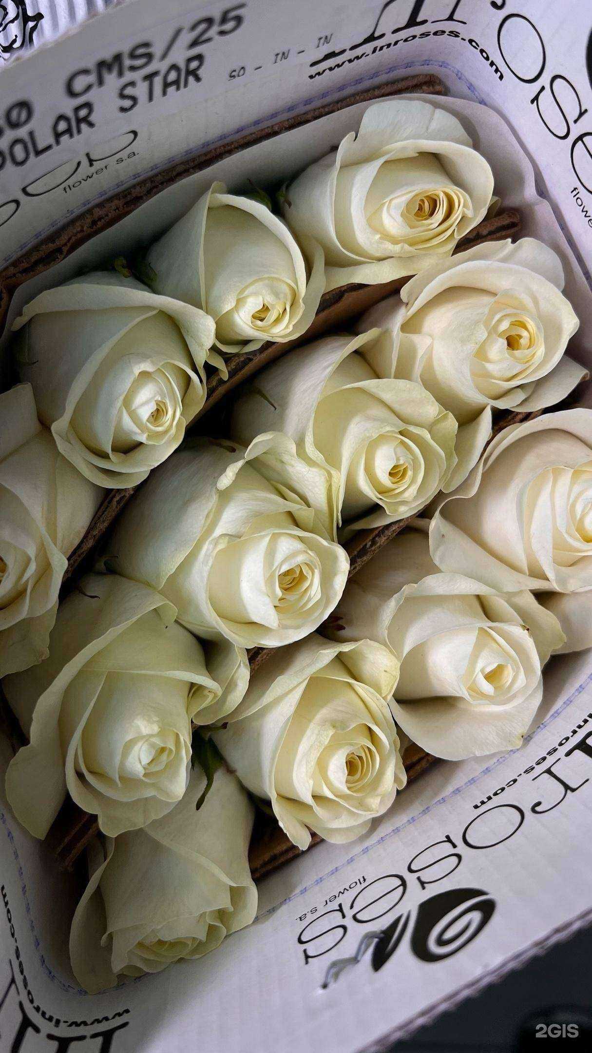 Отзывы на компанию Букет.опт в Красноярске c фото