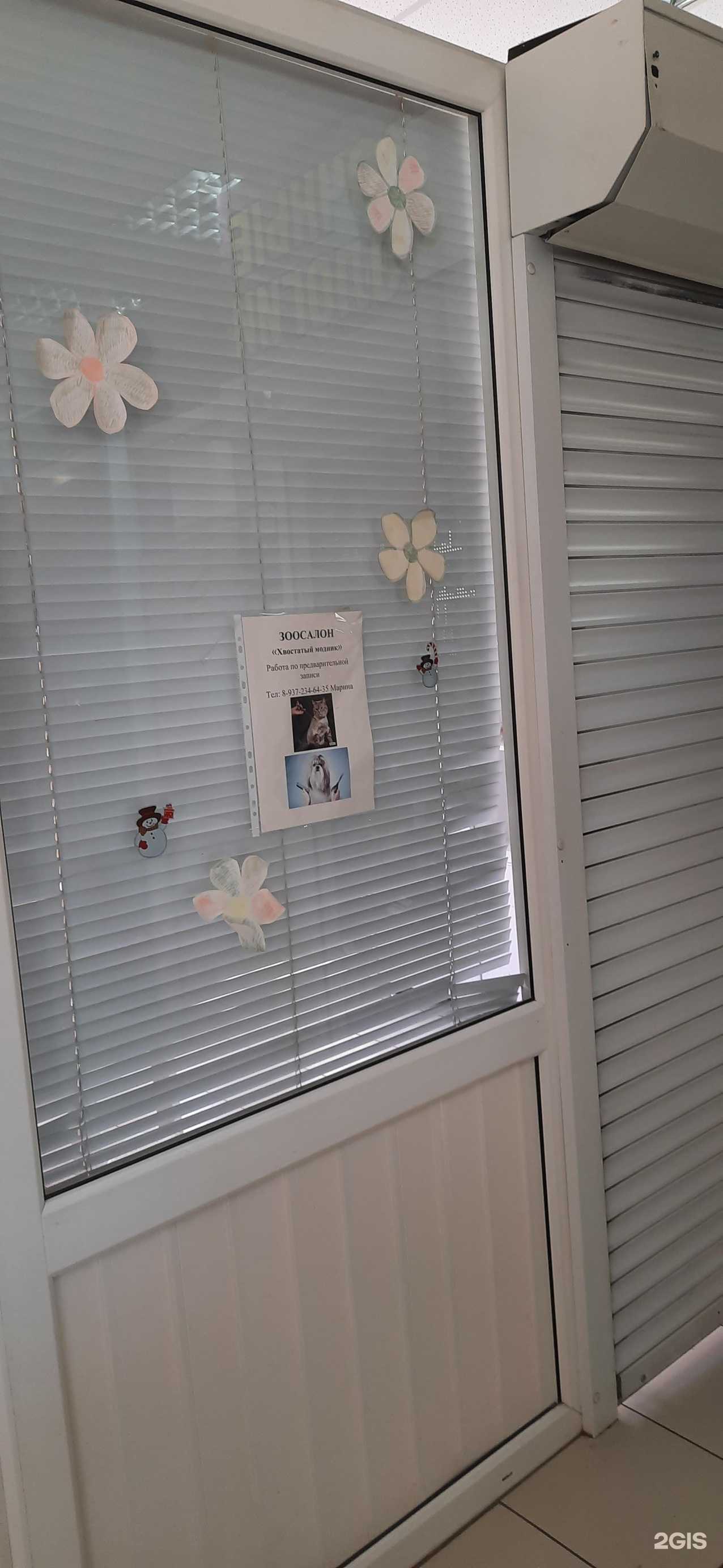 Отзывы на компанию Хвостатый модник в Сызрани c фото