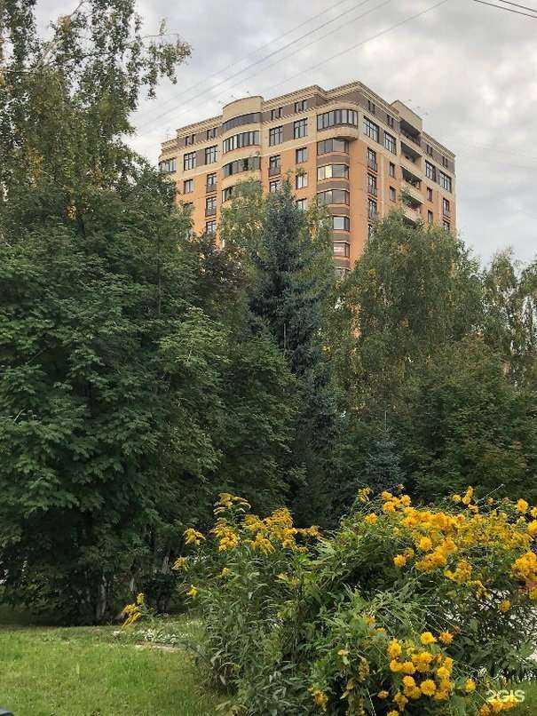 Отзывы на компанию Магис в Новосибирске c фото - фотография 2 из 2