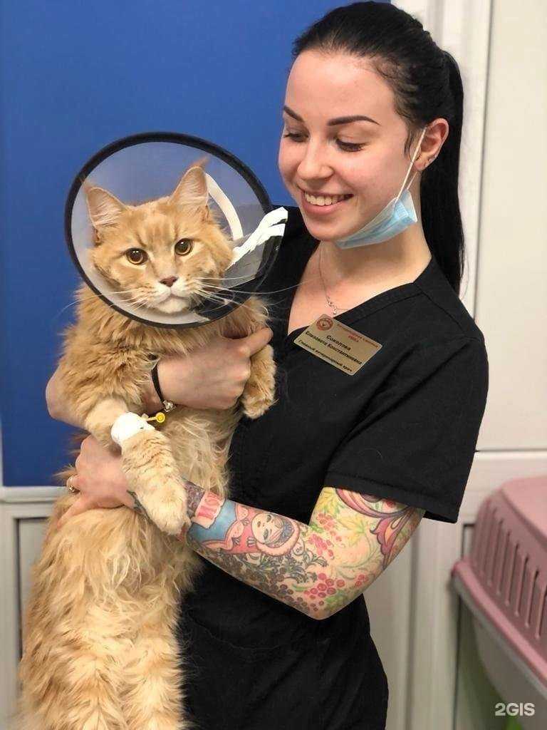 Отзывы на компанию Умка в Брянске c фото