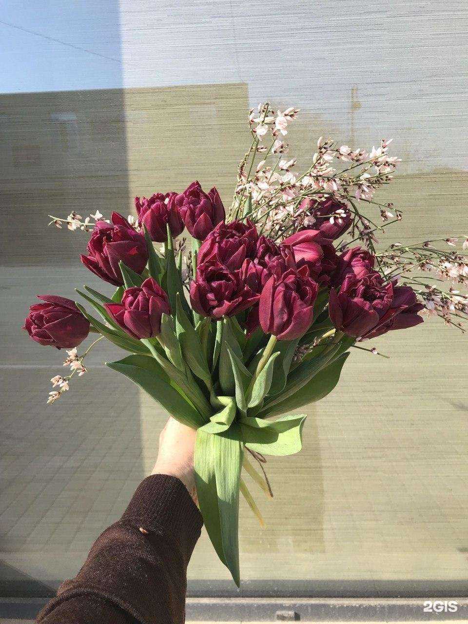 Отзывы на компанию Крапива в Дербенте c фото