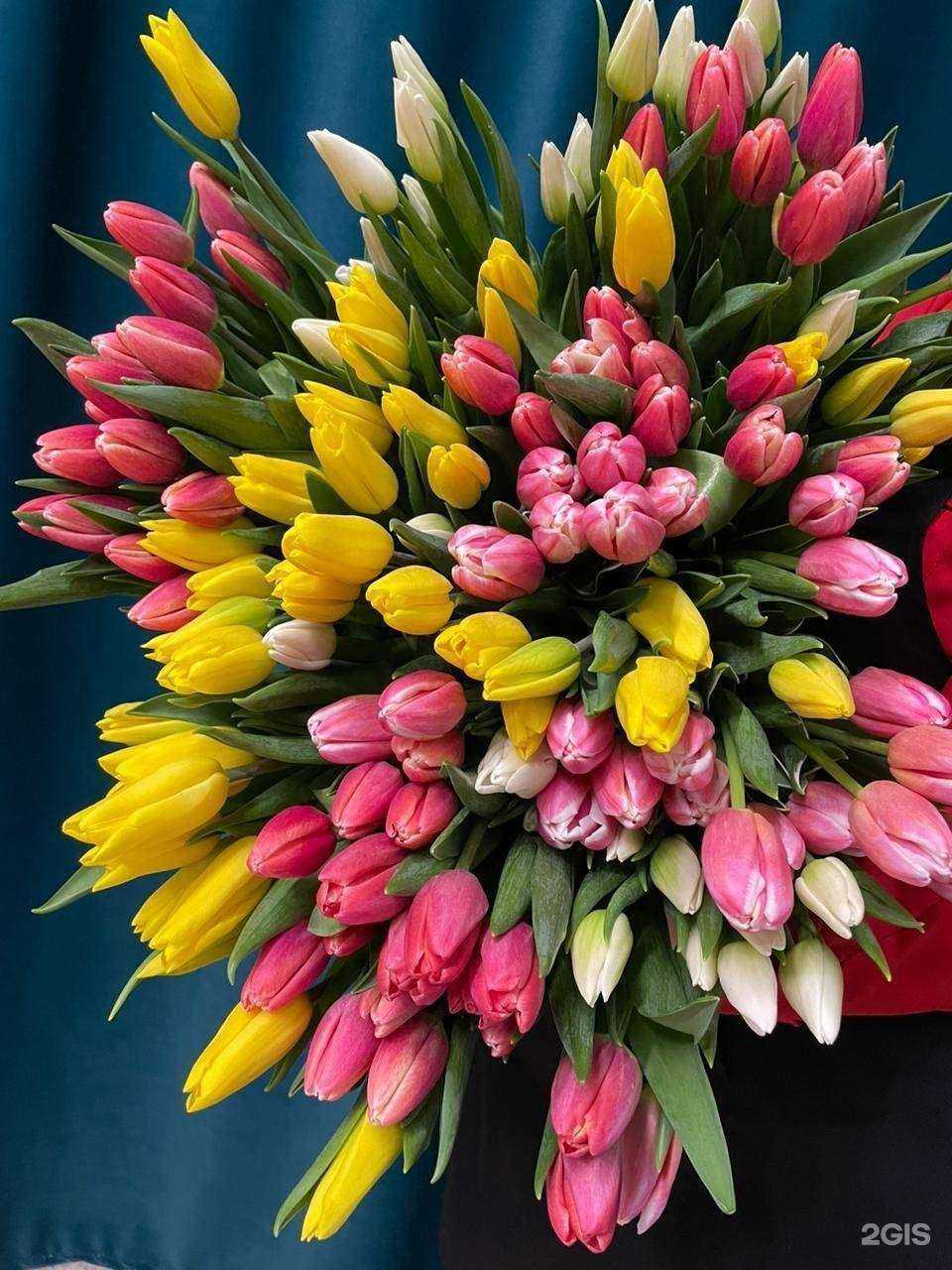 Отзывы на компанию АС в г. Якутск c фото