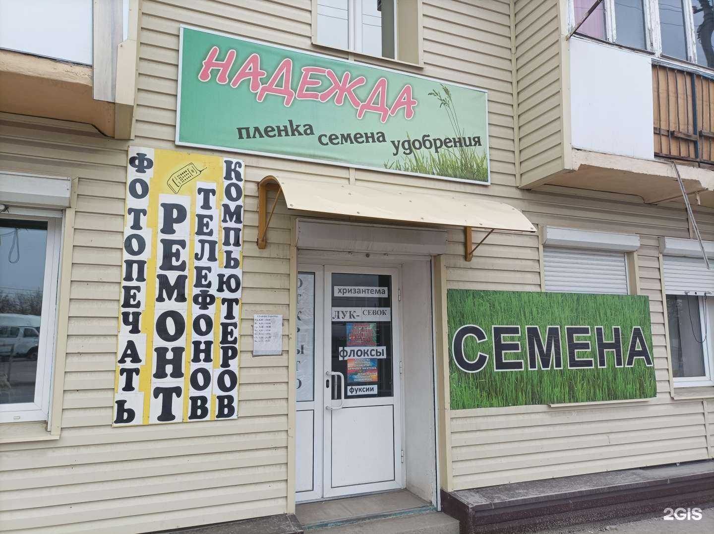 Отзывы на компанию Надежда в Камышине c фото