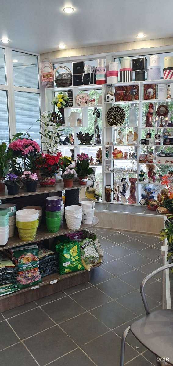 Отзывы на компанию Донна Фло в Тюмени c фото