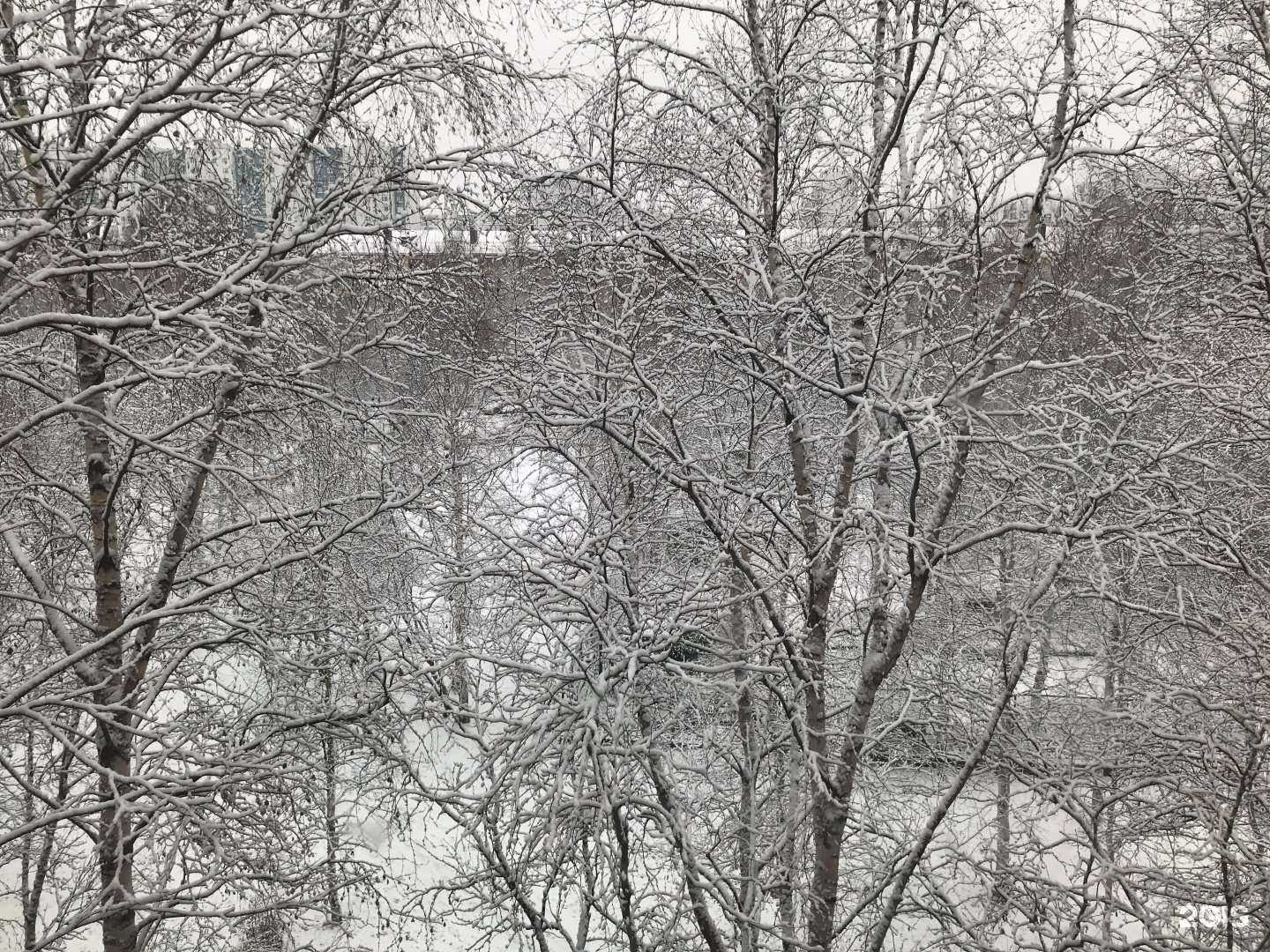 Отзывы на компанию Детская библиотека №4 в Нижневартовске c фото - фотография 2 из 2