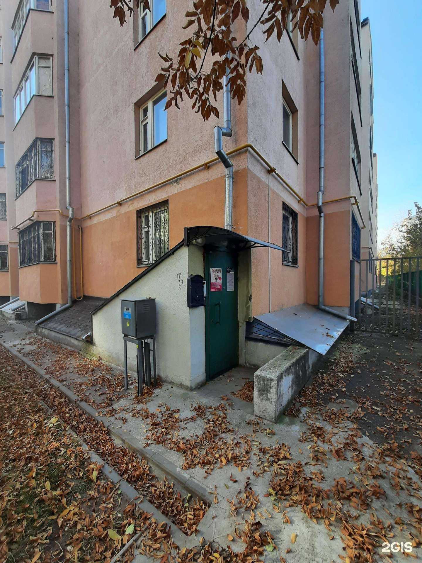 Отзывы на компанию Бурые Медведи в Казани c фото