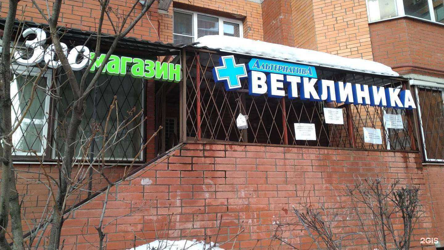 Отзывы на компанию Альтернатива в Балашихе c фото