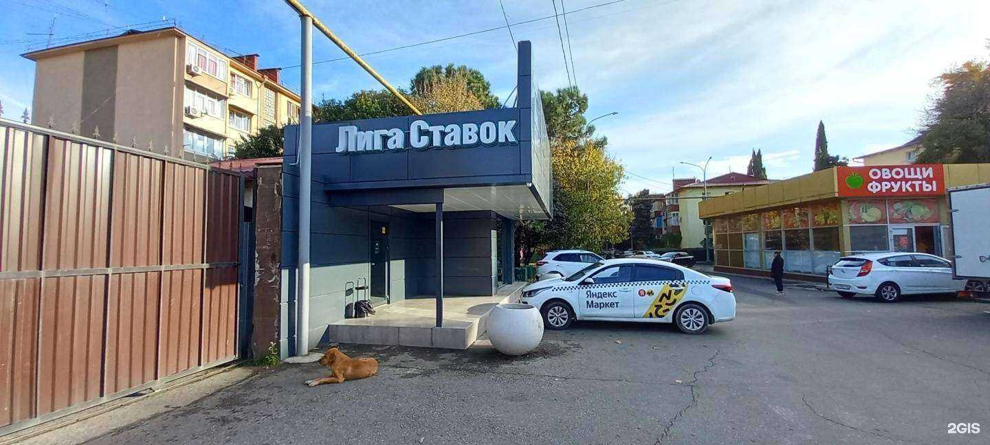 Отзывы на компанию Лига ставок в г. Сочи c фото